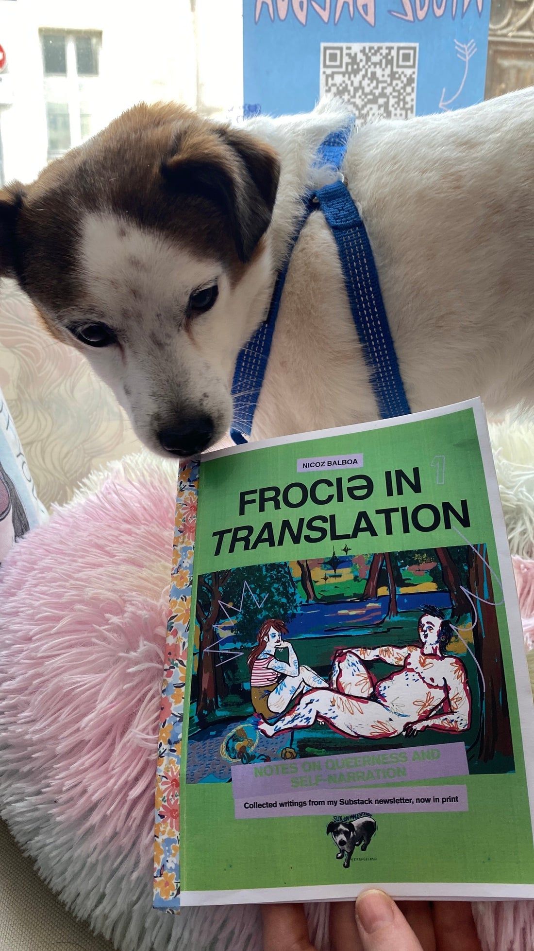 From Fanzines to Frocio in Translation: Why I'm Bringing My Newsletter Back to Paper